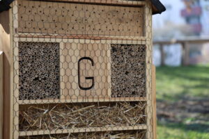 blumenbeet bienen blumenwiese
