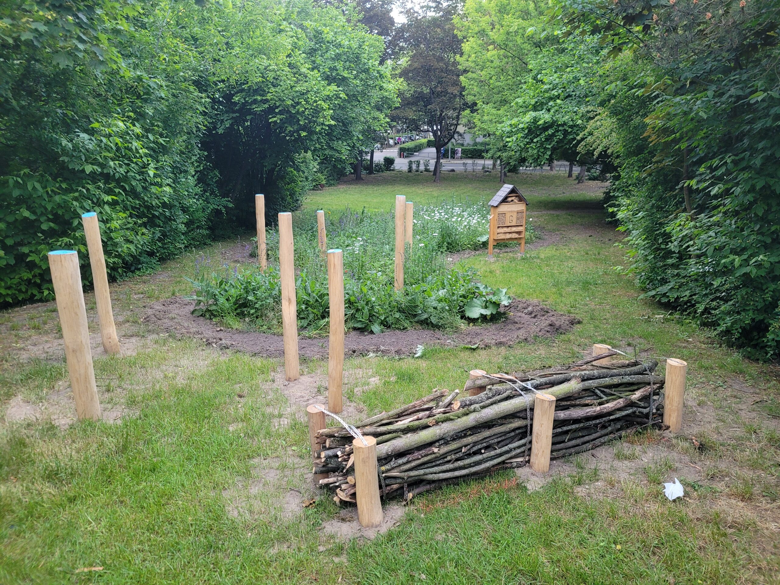 blumenbeet bienen blumenwiese