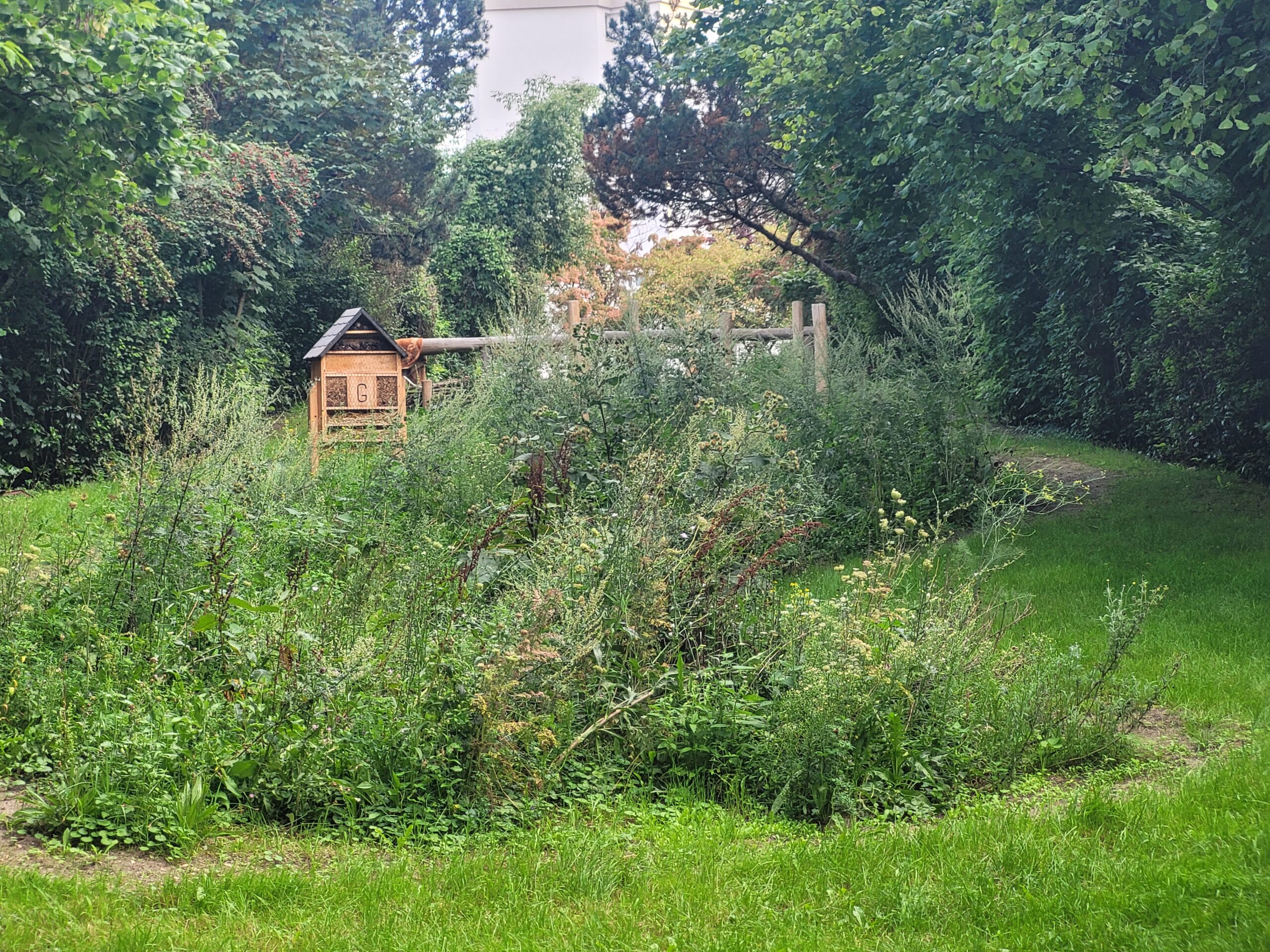 blumenbeet bienen blumenwiese