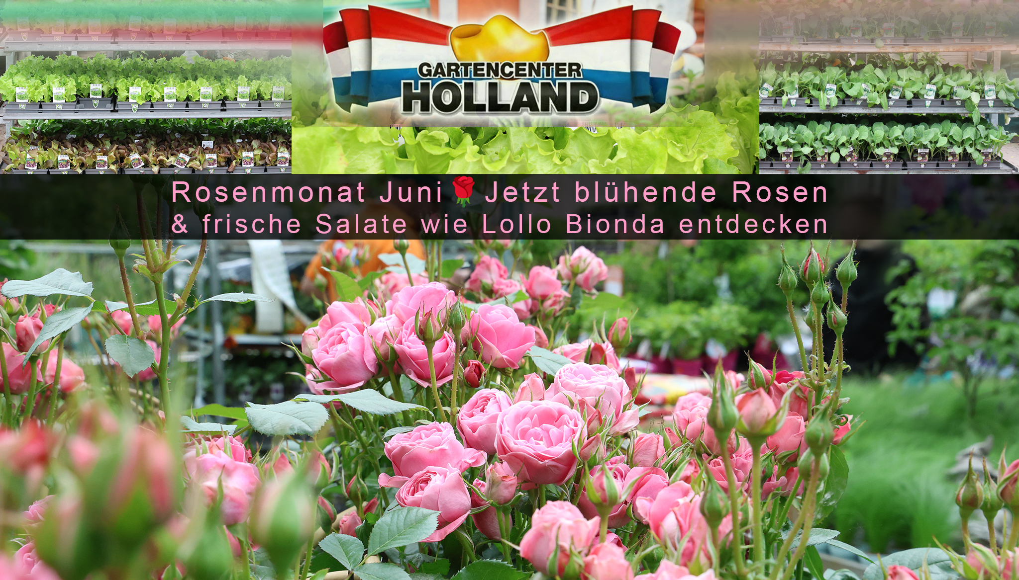 gartencenter mai juni