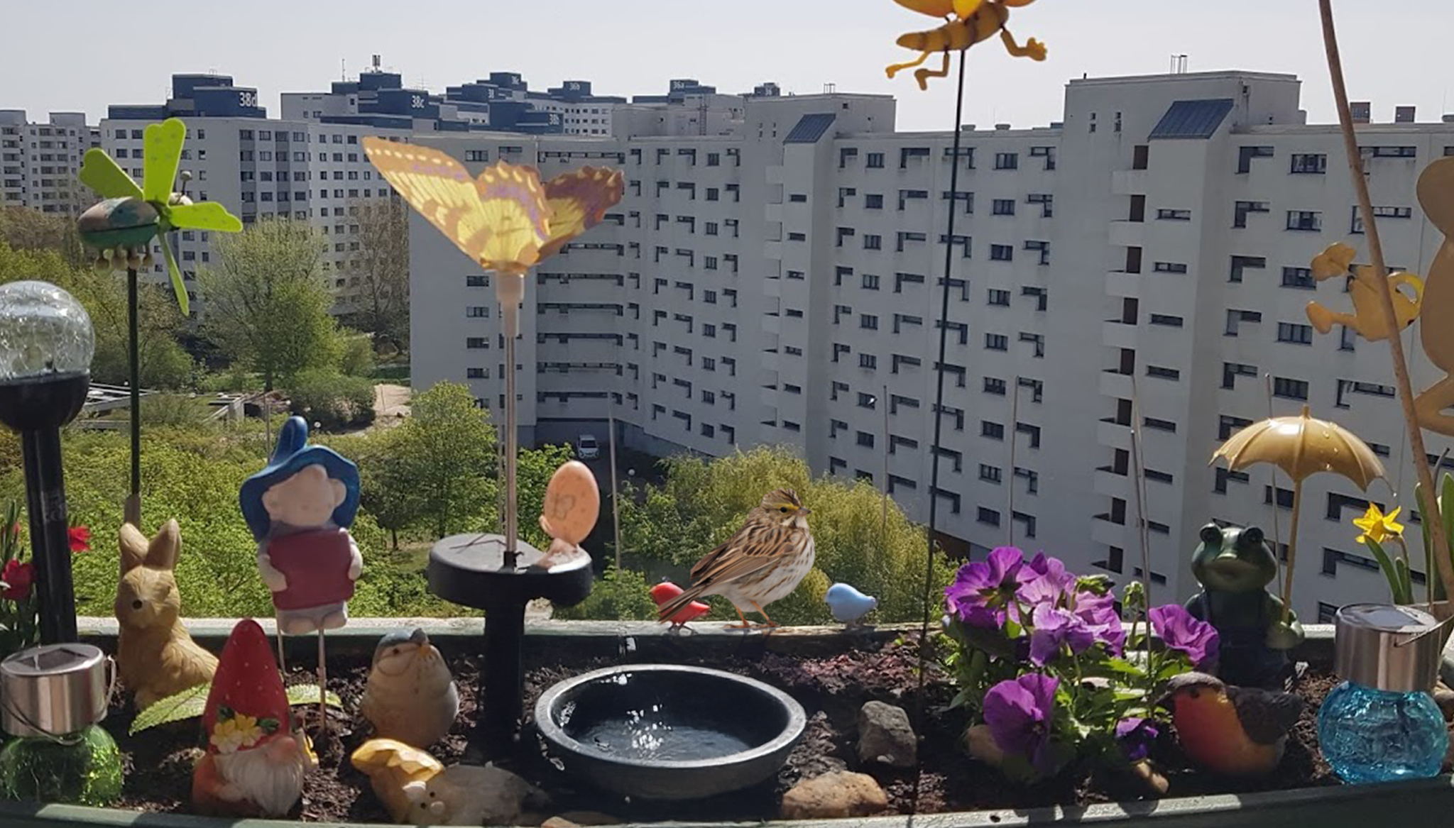 wasser hitze sommer