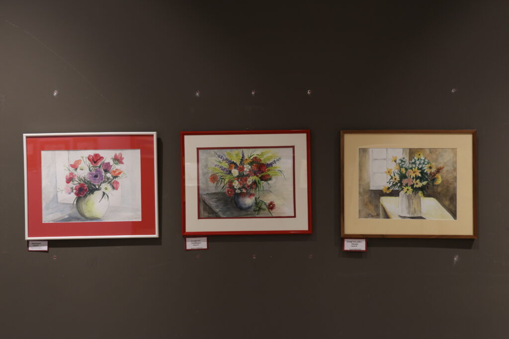 ausstellung mv kann kunst