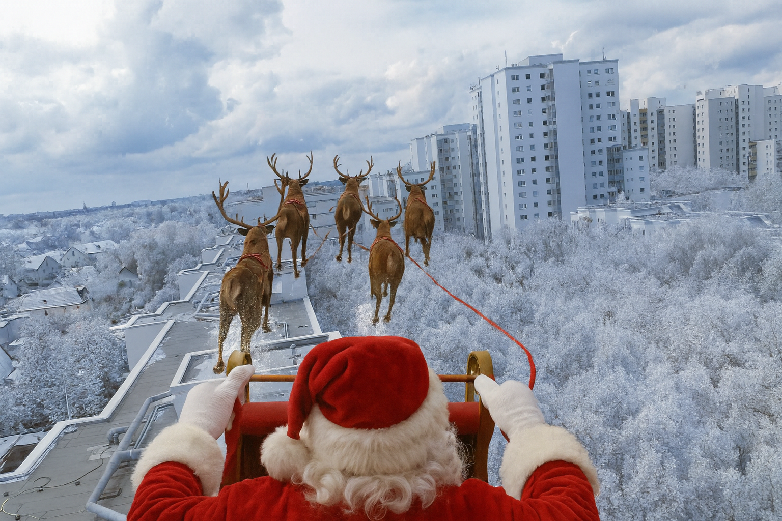 sora2 luma ki videos