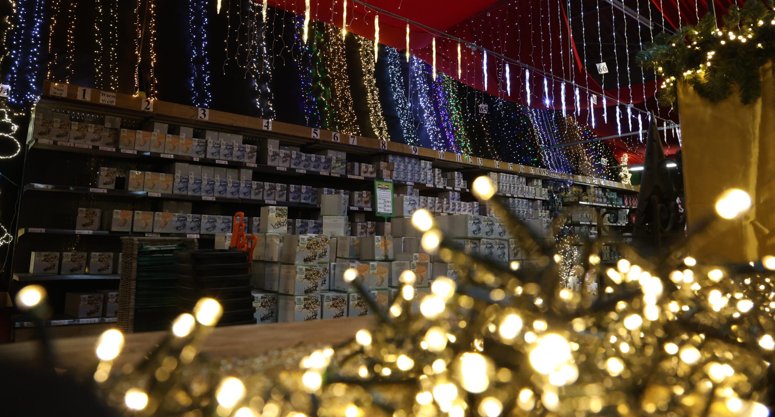 IZ2A7161 gartencenter