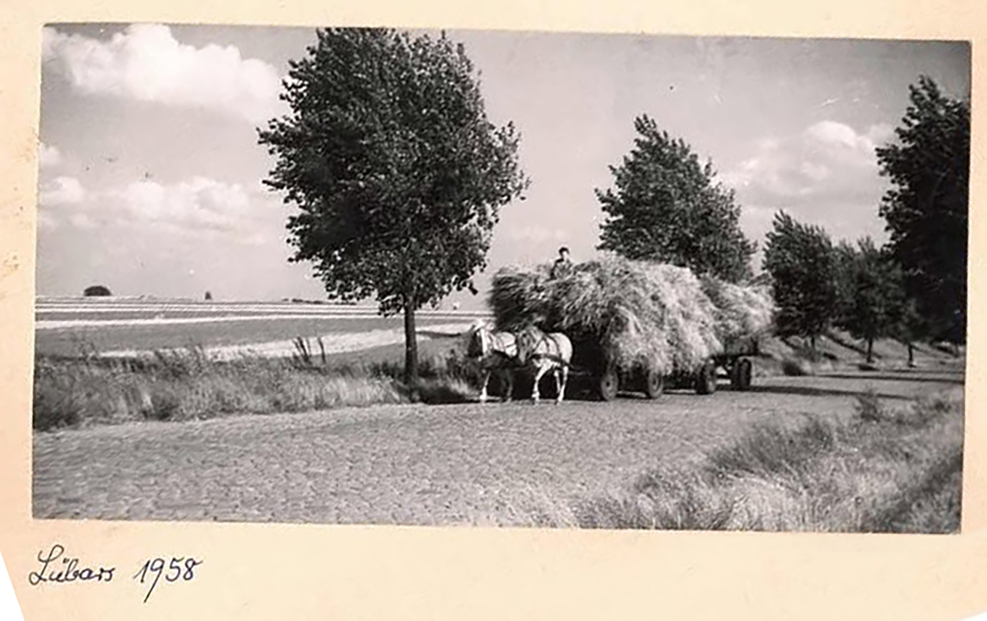 farbe für das märkisches viertel