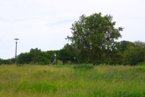 müllberg lübarser höhe