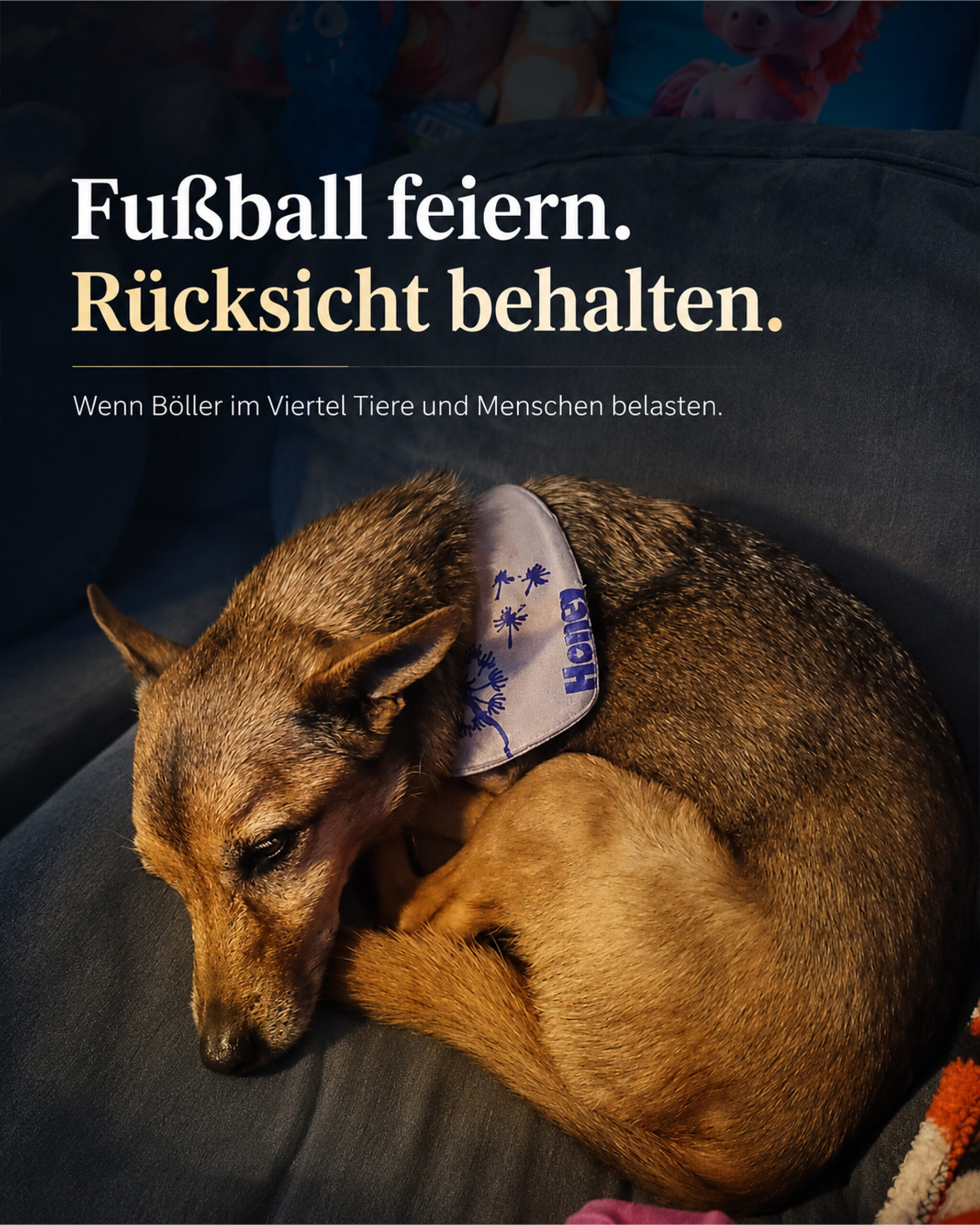 tiereknaller