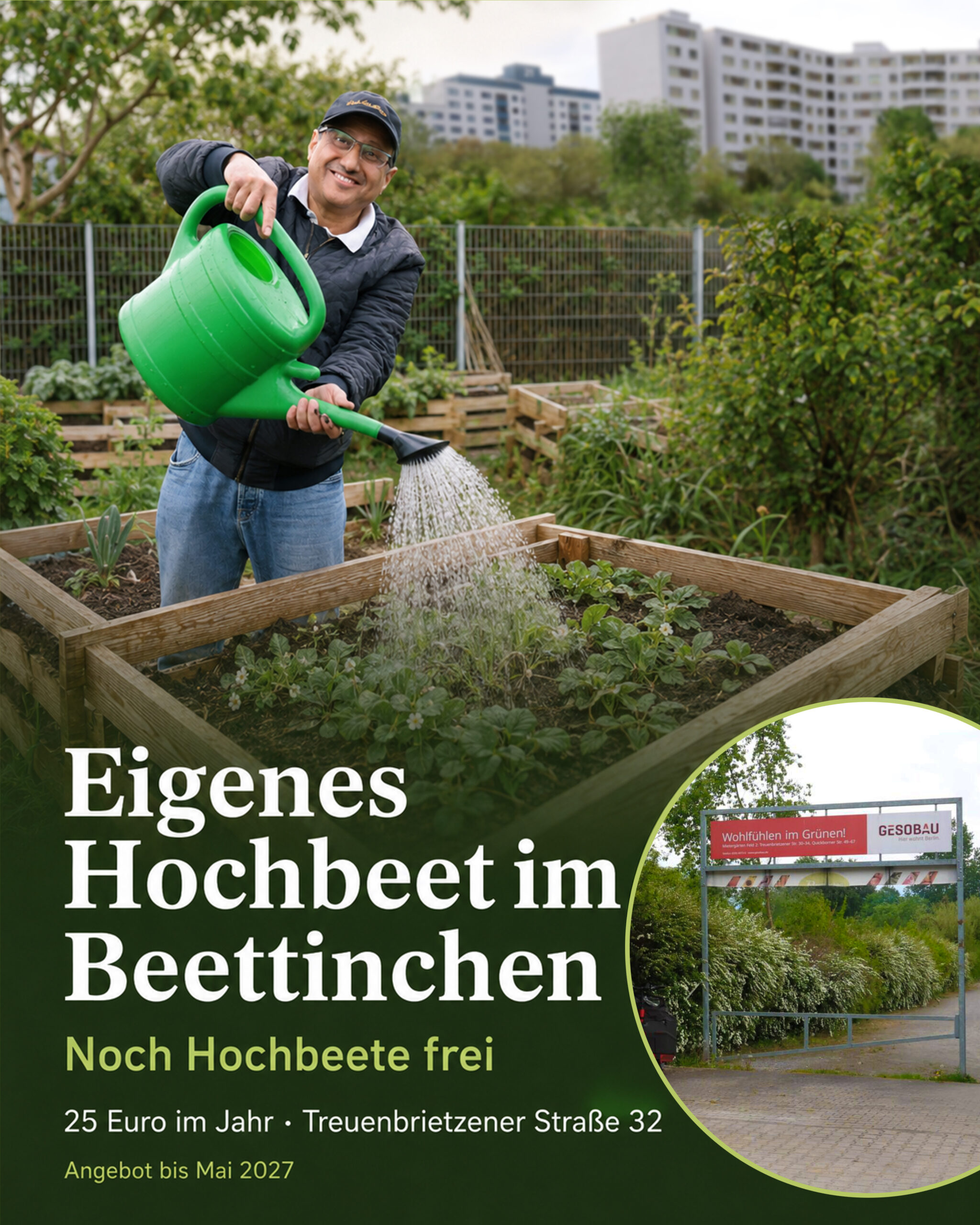 beettinchen-beitragsgrafik beettinchen