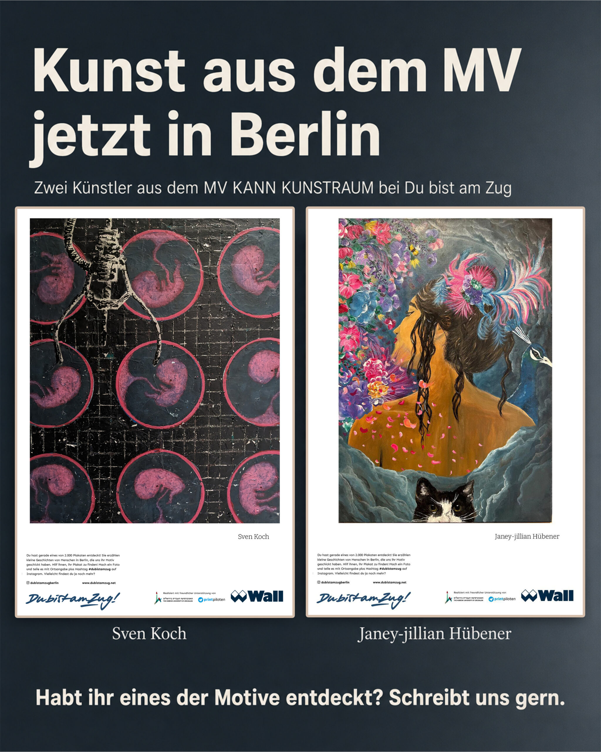 ausstellung mv kann kunst
