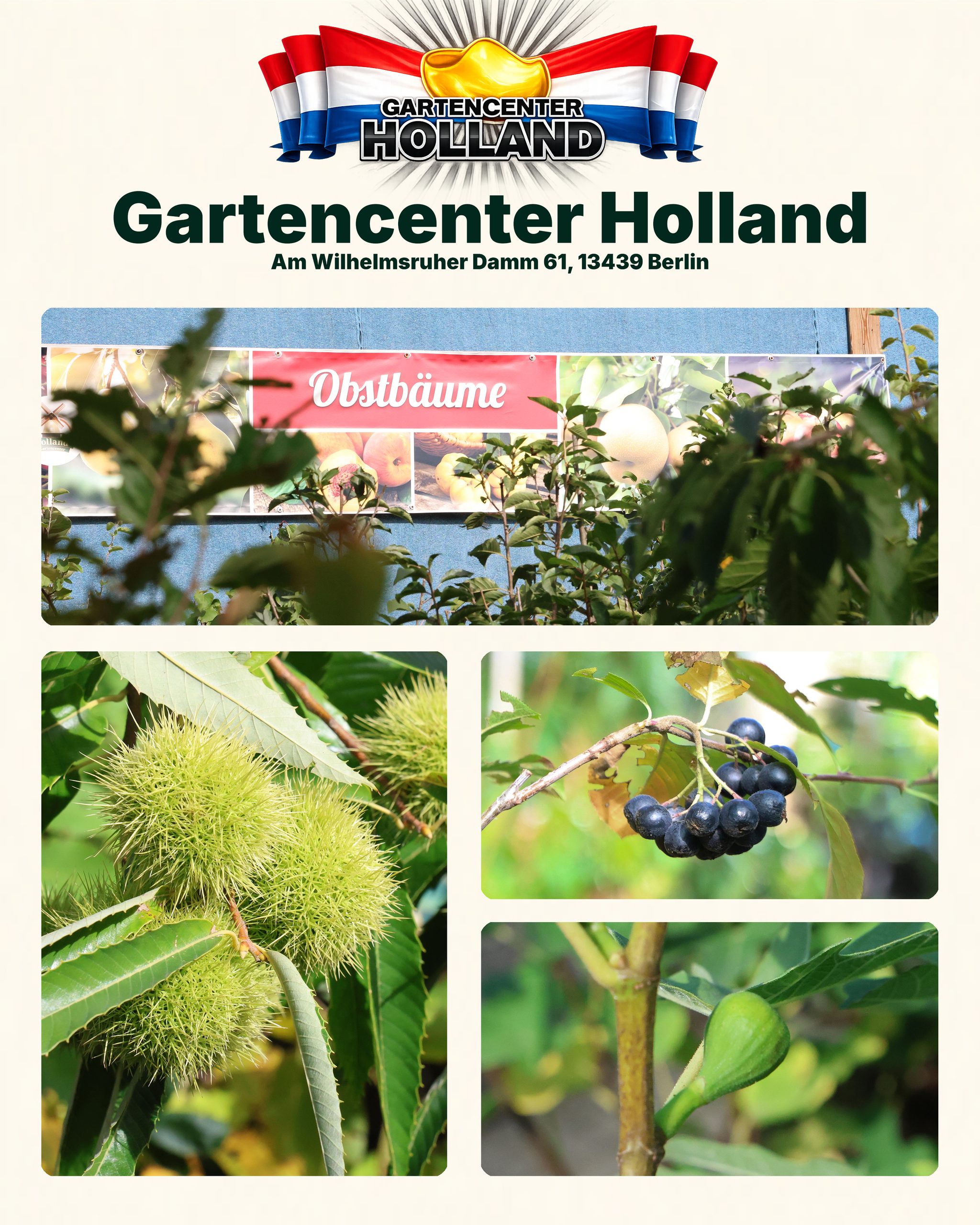 gartencenter