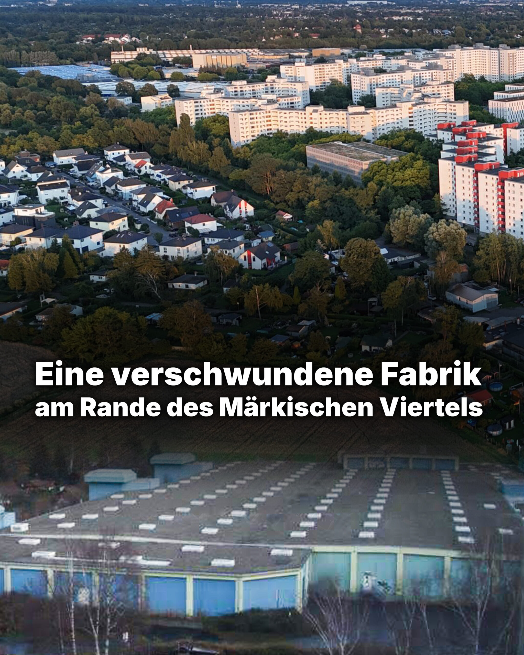 luebarseraue Lübarser Aue Am Rodelberg